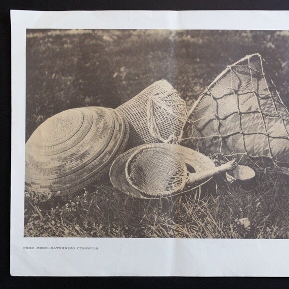 POMO SEED-GATHERING UTENSILS #60 Edward Sheriff Curtis Print - Picture 2 of 8